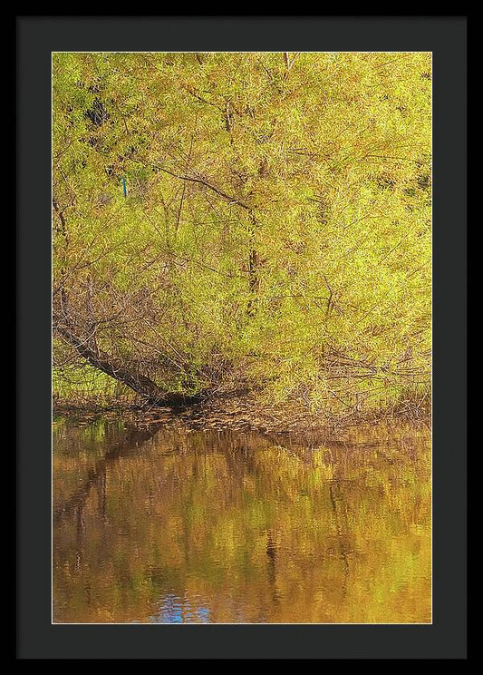Autumn Reflections on a Quiet Lake - Framed Print