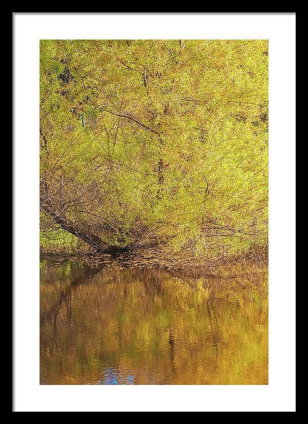 Autumn Reflections on a Quiet Lake - Framed Print