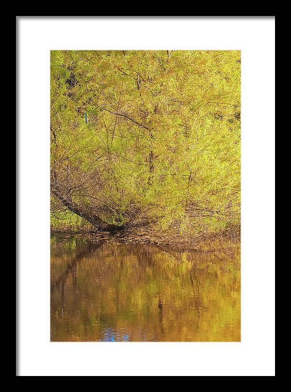 Autumn Reflections on a Quiet Lake - Framed Print