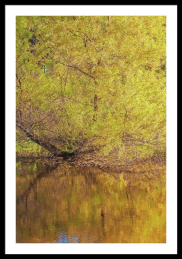 Autumn Reflections on a Quiet Lake - Framed Print