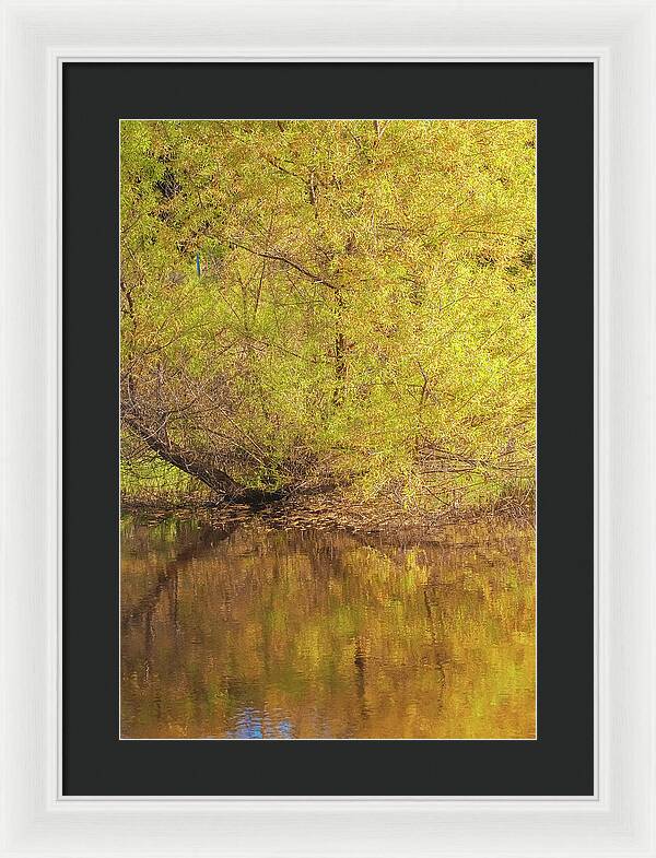 Autumn Reflections on a Quiet Lake - Framed Print