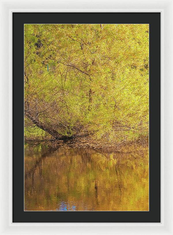 Autumn Reflections on a Quiet Lake - Framed Print