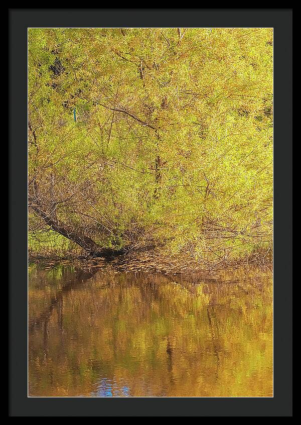 Autumn Reflections on a Quiet Lake - Framed Print