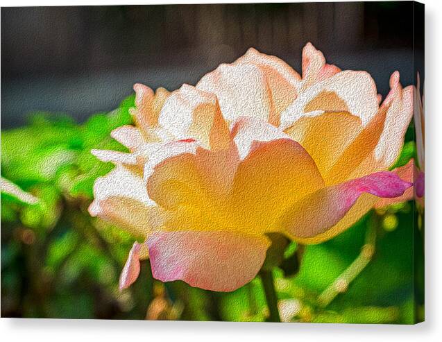 Beautiful Glowing Rose Art - Canvas Print