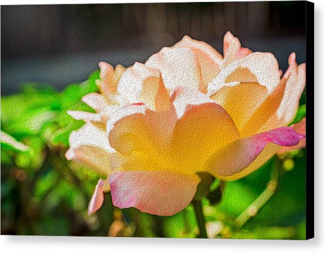 Beautiful Glowing Rose Art - Canvas Print