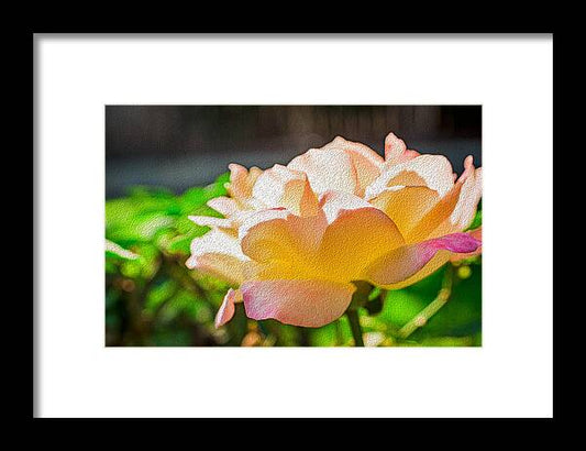 Beautiful Glowing Rose Art - Framed Print