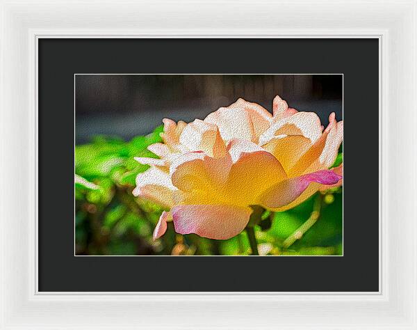 Beautiful Glowing Rose Art - Framed Print