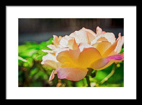 Beautiful Glowing Rose Art - Framed Print