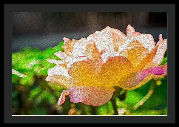 Beautiful Glowing Rose Art - Framed Print
