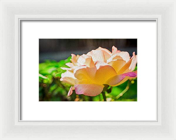Beautiful Glowing Rose Art - Framed Print