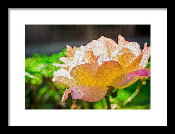 Beautiful Glowing Rose Art - Framed Print