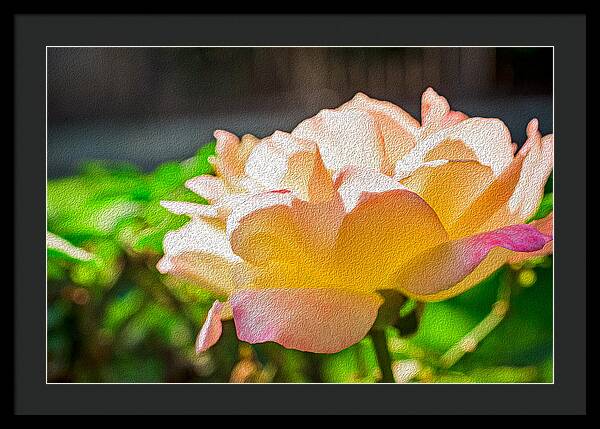 Beautiful Glowing Rose Art - Framed Print