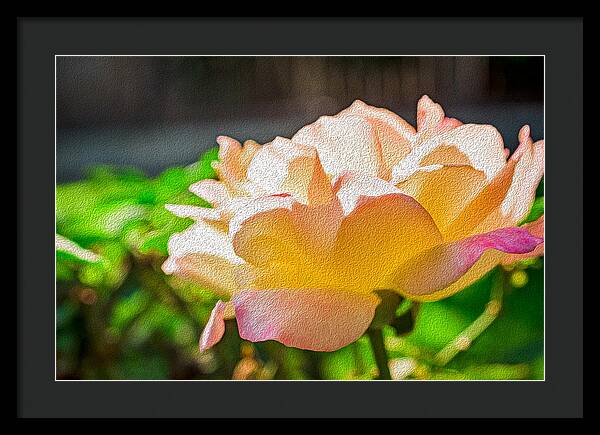 Beautiful Glowing Rose Art - Framed Print