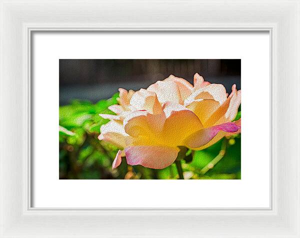 Beautiful Glowing Rose Art - Framed Print