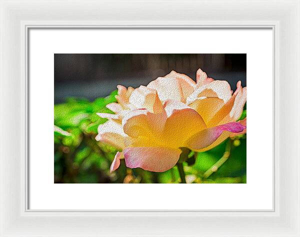 Beautiful Glowing Rose Art - Framed Print