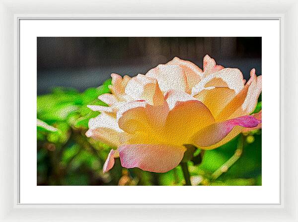 Beautiful Glowing Rose Art - Framed Print