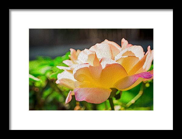 Beautiful Glowing Rose Art - Framed Print