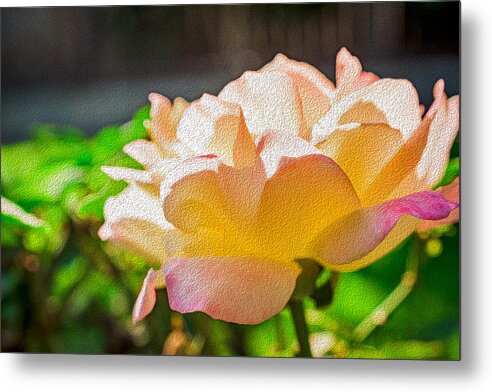 Beautiful Glowing Rose Art - Metal Print