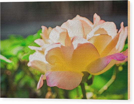 Beautiful Glowing Rose Art - Wood Print