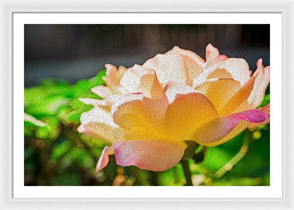 Beautiful Glowing Rose Art - Framed Print
