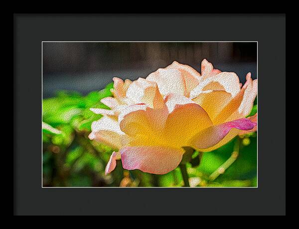 Beautiful Glowing Rose Art - Framed Print