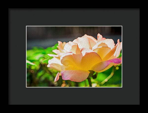 Beautiful Glowing Rose Art - Framed Print