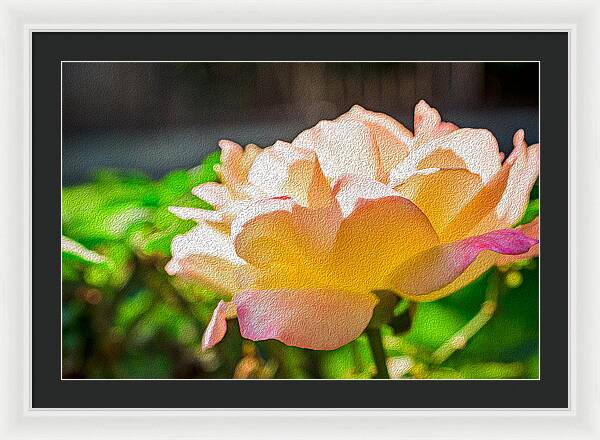 Beautiful Glowing Rose Art - Framed Print