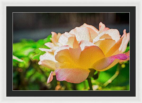 Beautiful Glowing Rose Art - Framed Print