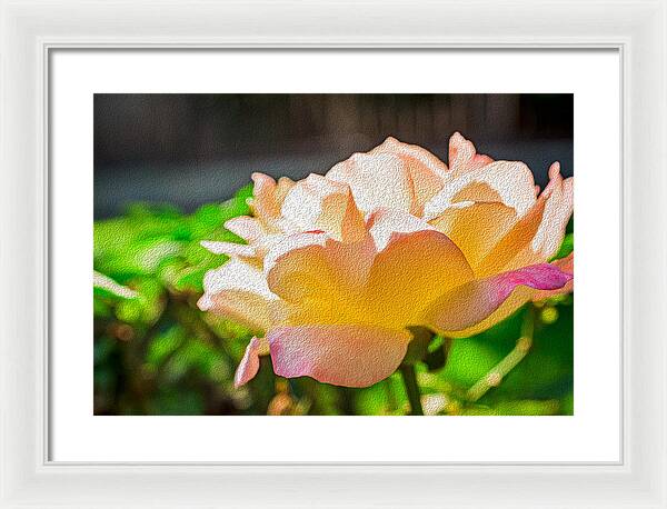 Beautiful Glowing Rose Art - Framed Print