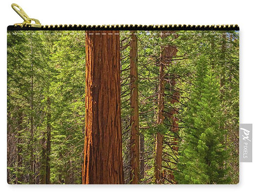 Beauty in a Forest - Zip Pouch
