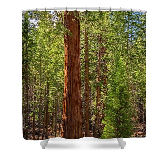 Beauty in a Forest - Shower Curtain