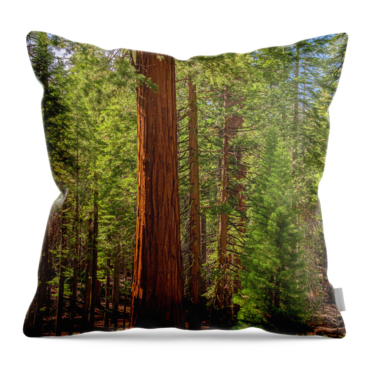 Beauty in a Forest - Throw Pillow