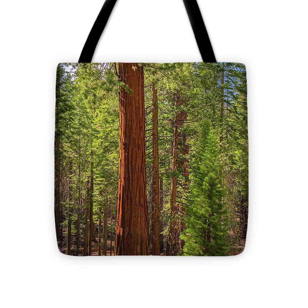 Beauty in a Forest - Tote Bag