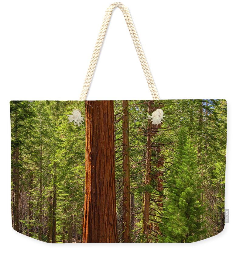 Beauty in a Forest - Weekender Tote Bag