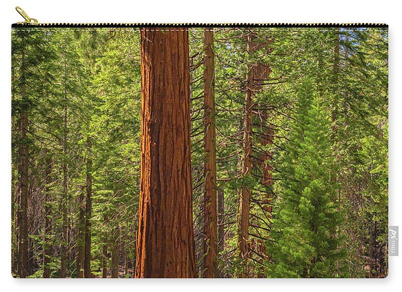 Beauty in a Forest - Zip Pouch
