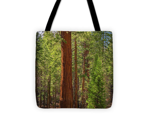 Beauty in a Forest - Tote Bag