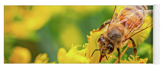 Bee Collecting Pollen on a Flower - Yoga Mat