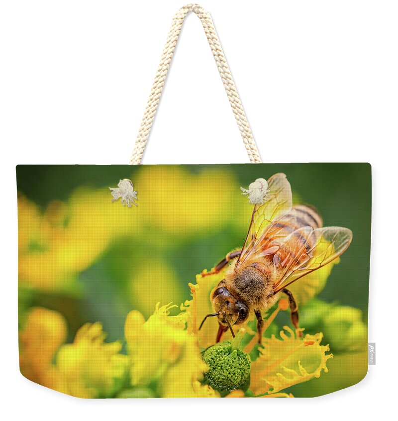 Bee Collecting Pollen on a Flower - Weekender Tote Bag