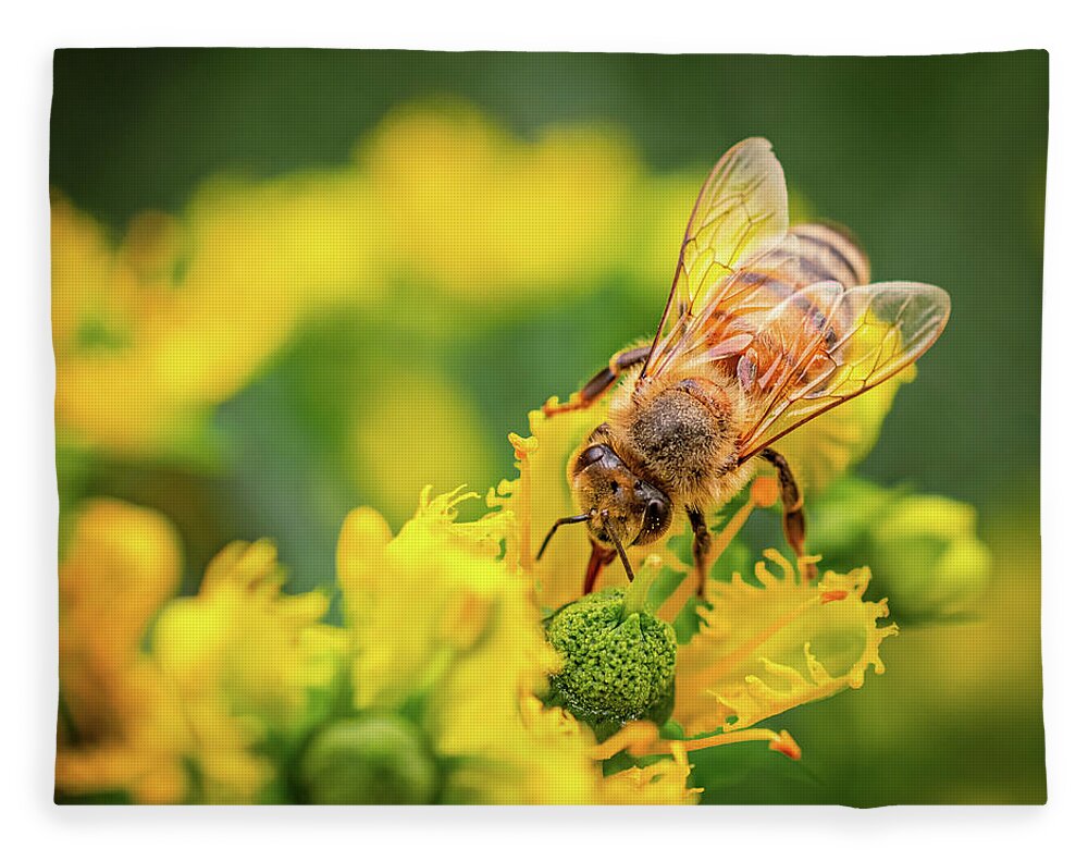 Bee Collecting Pollen on a Flower - Blanket