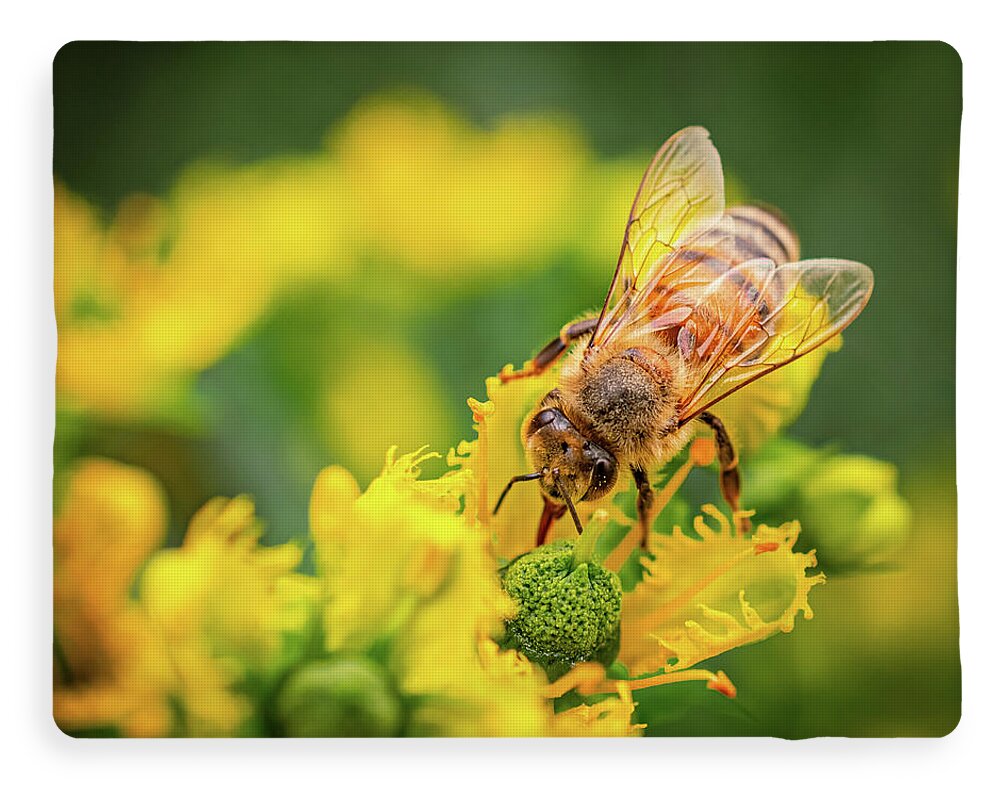 Bee Collecting Pollen on a Flower - Blanket