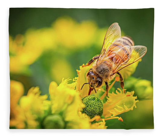 Bee Collecting Pollen on a Flower - Blanket
