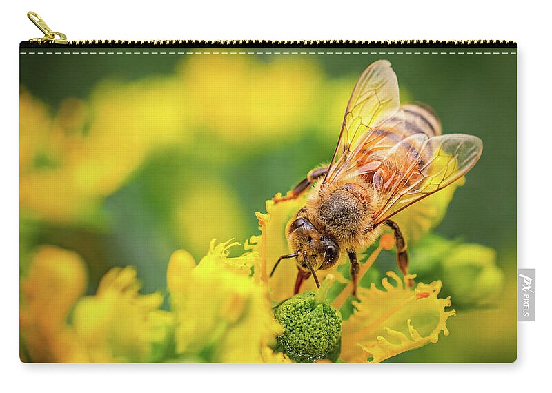 Bee Collecting Pollen on a Flower - Zip Pouch