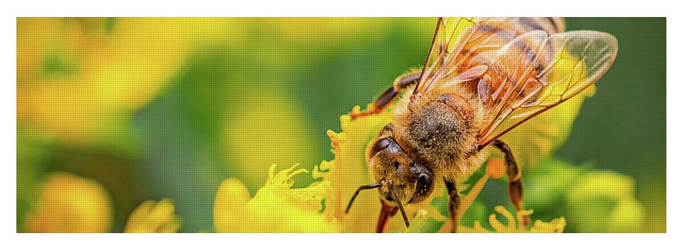 Bee Collecting Pollen on a Flower - Yoga Mat