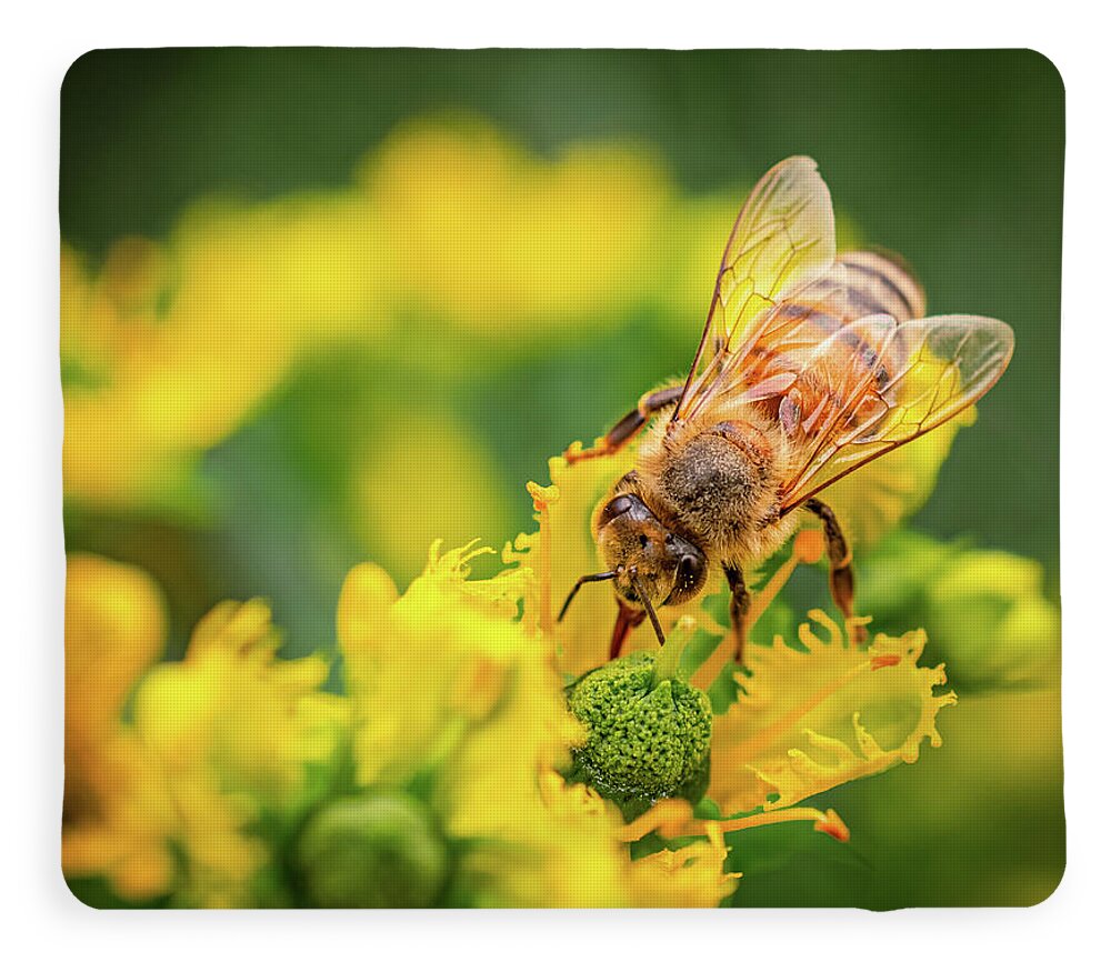 Bee Collecting Pollen on a Flower - Blanket