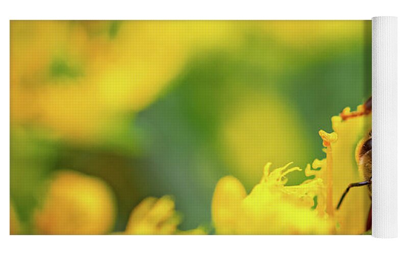 Bee Collecting Pollen on a Flower - Yoga Mat