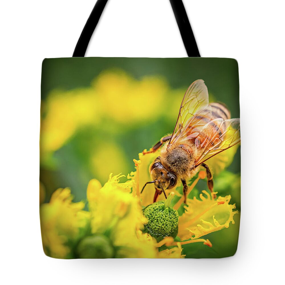 Bee Collecting Pollen on a Flower - Tote Bag