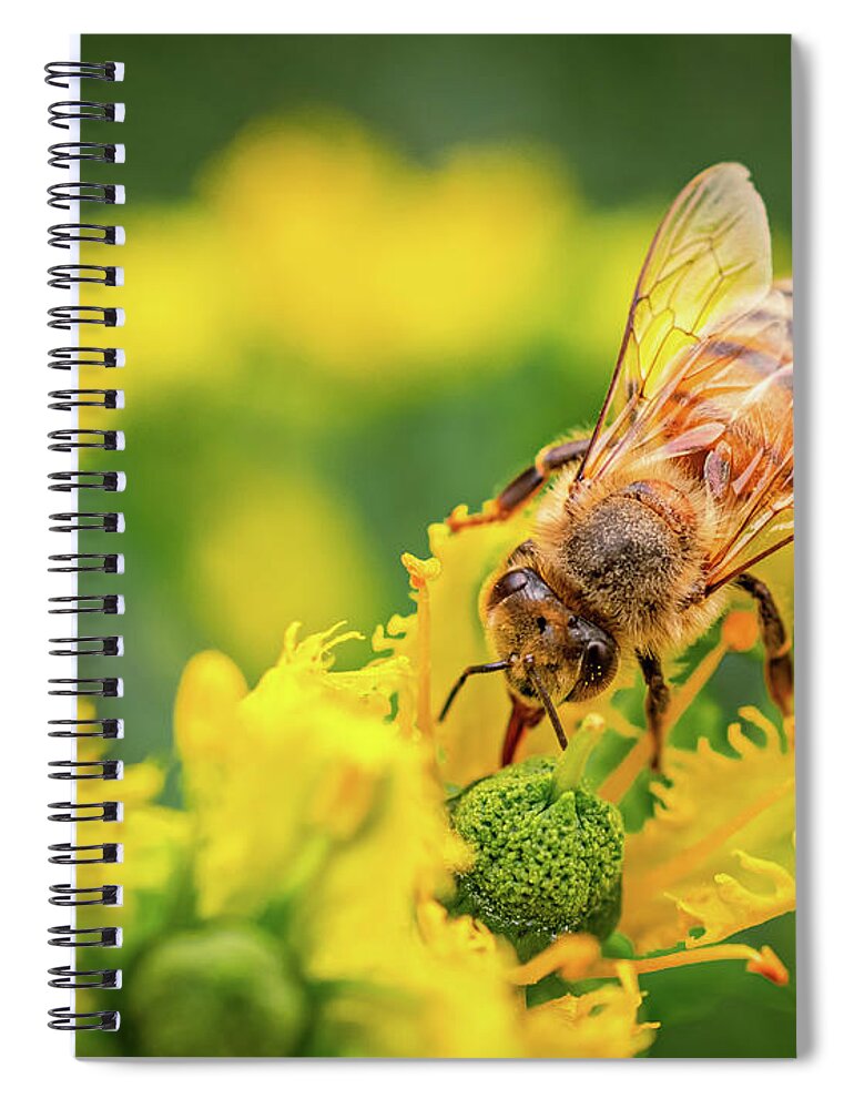 Bee Collecting Pollen on a Flower - Spiral Notebook