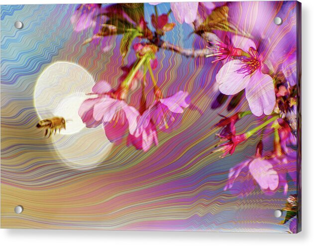 Bee Flying into a Flower with an Orb and Colorful Overlay - Acrylic Print
