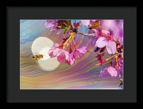 Bee Flying into a Flower with an Orb and Colorful Overlay - Framed Print
