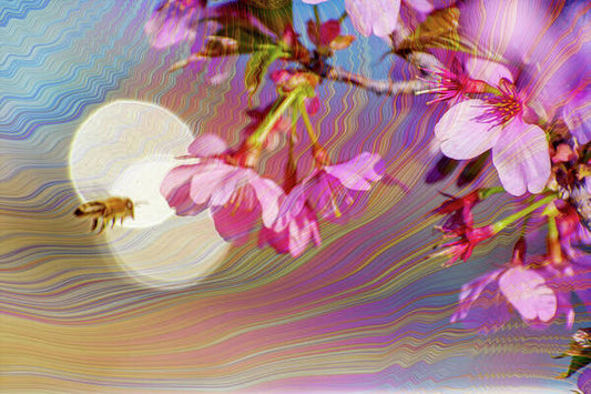 Bee Flying into a Flower with an Orb and Colorful Overlay - Art Print